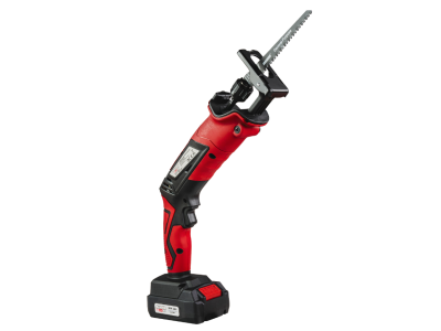 Raider R20 RDP-KRS20 Reciprocating Saw with 2Ah Battery - 030181