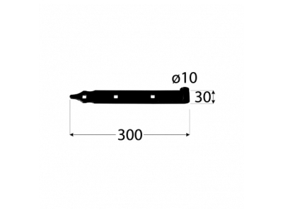 Панта рамо ZP ф10 300х30х3.0mm  черна