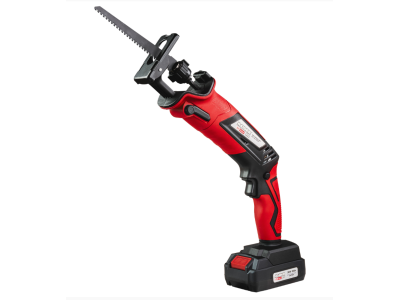 Raider R20 RDP-KRS20 Reciprocating Saw with 2Ah Battery - 030181