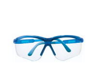 Glasses-transparent - 0101  Perspecta 010